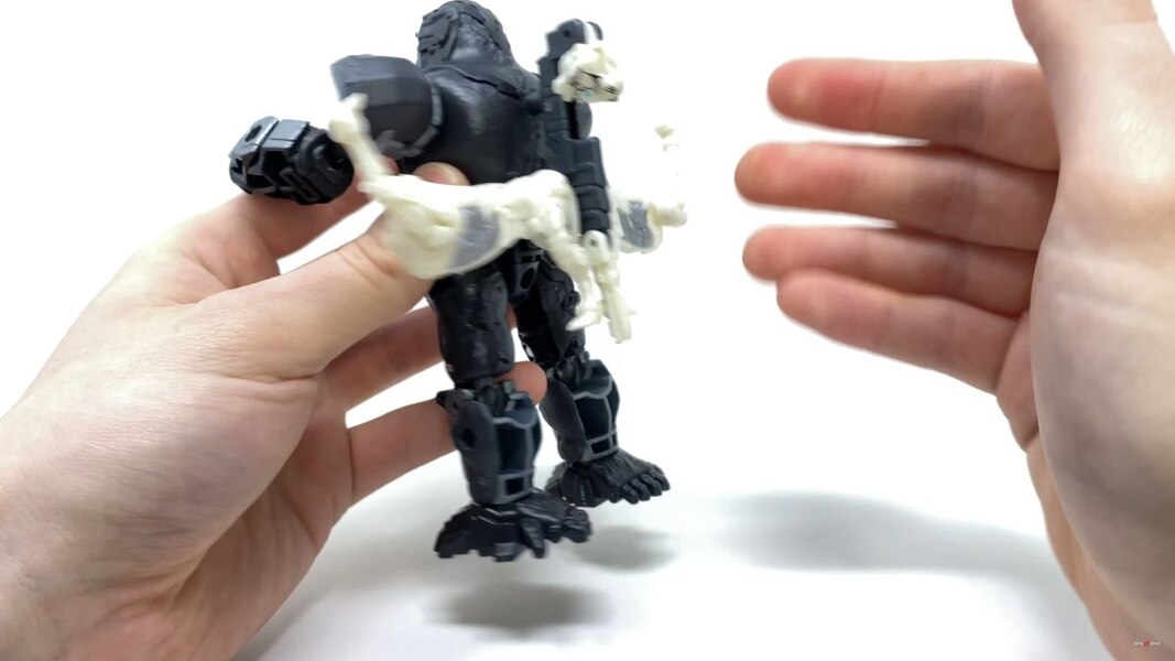 Transformers Rise Of The Beasts Optimus Primal Tigatron In Hand Image  (25 of 35)